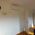 Dantin Séjour chez l'habitant Prvacina